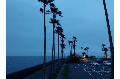逗子支部例会