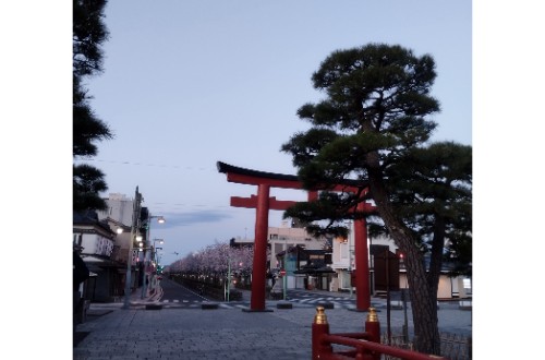 酒害相談（主催：鎌倉保健福祉事務所）